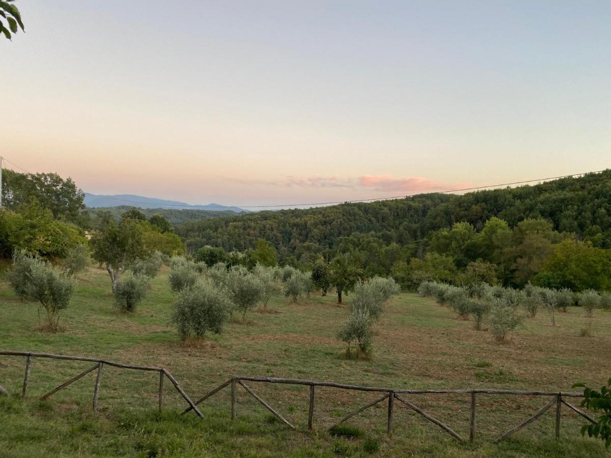 Agriturismo Borgo Serafino Mangone  Bagian luar foto